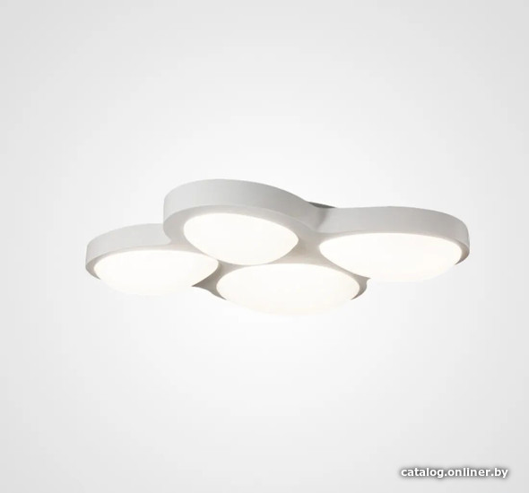 

Припотолочная люстра ImperiumLoft Dew01 193099-26