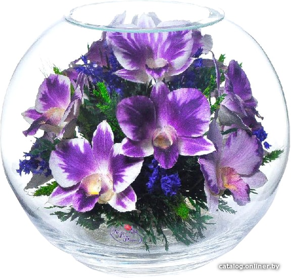 

Цветы, букеты Natural Flower Products Композиция из фиолетово-белых орхидей IUV2