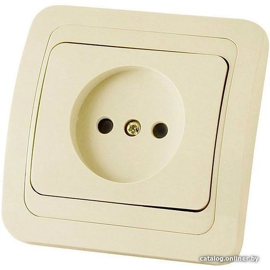 

Розетка TDM Electric Валдай SQ1804-0107