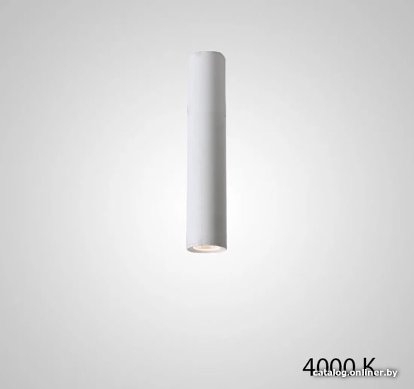 

Точечный светильник ImperiumLoft Pan01 212635-23