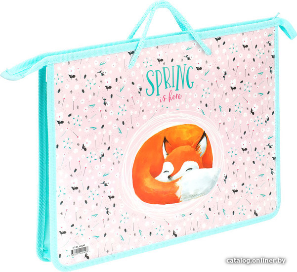 

Папка-портфель ArtSpace Foxy ПТ-15_42149