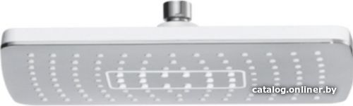 

Душевая лейка Rose RH37