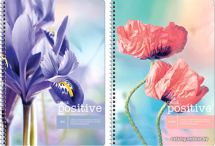 

Общая тетрадь ArtSpace клетка Цветы. Think positive Т80А4спк_12132 (80 л)