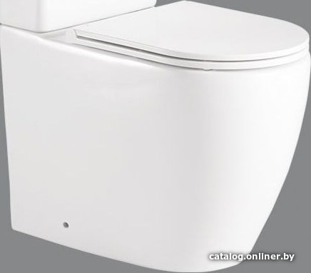 

Унитаз BelBagno Etna BB2157CPR