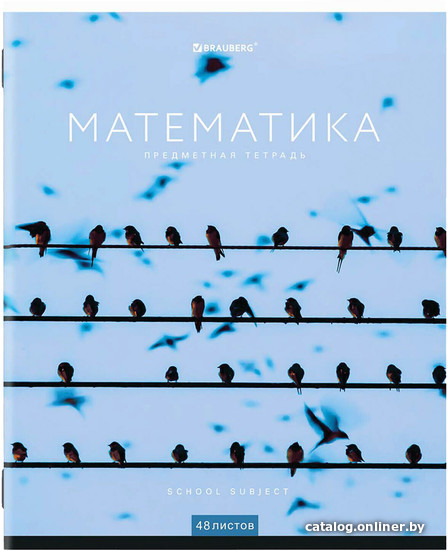 

Тетрадь предметная BRAUBERG Классика New. Математика 404248 (48 л, клетка)