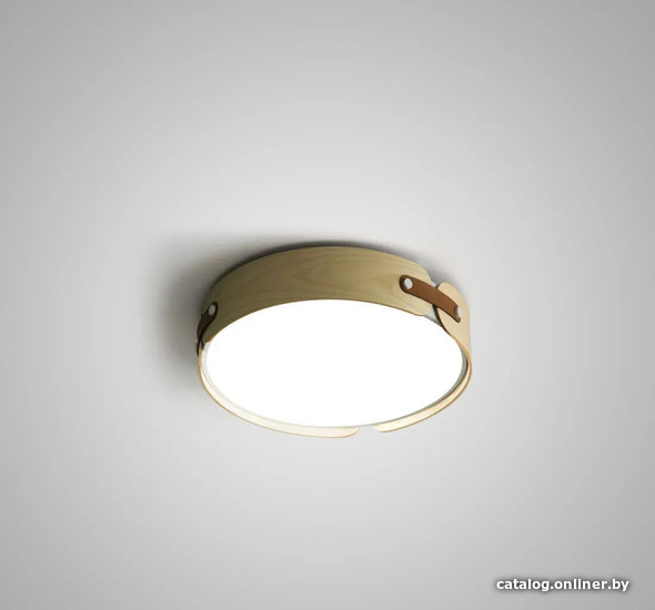 

Светильник-тарелка ImperiumLoft Range03 195541-26