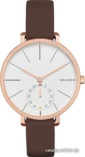 

Наручные часы Skagen SKW2356