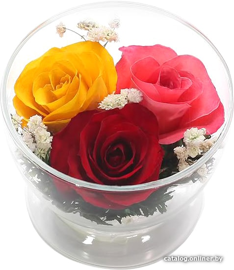 

Цветы, букеты Natural Flower Products Композиция из жёлтых, красных и розовых роз JbZy5j