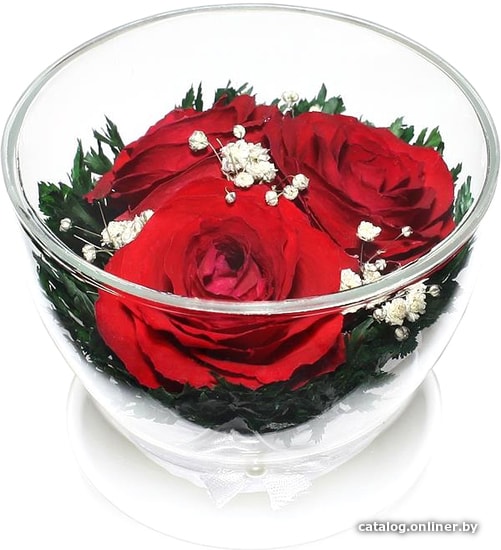 

Цветы, букеты Natural Flower Products Композиция из красных роз JbZy3