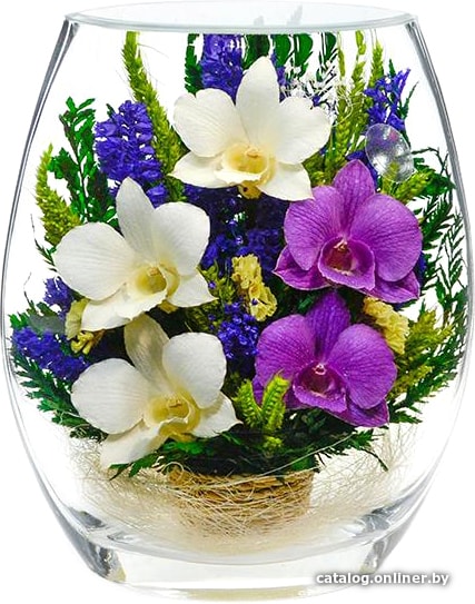 

Цветы, букеты Natural Flower Products Композиция из темно-фиолетовых и белых орхидей LOV2