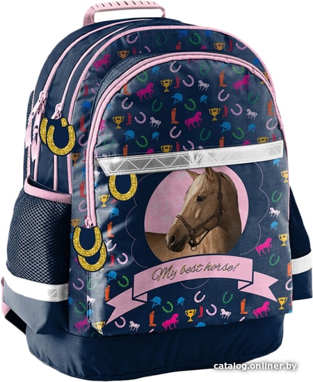 

Школьный рюкзак Paso Horse PPKM18-116