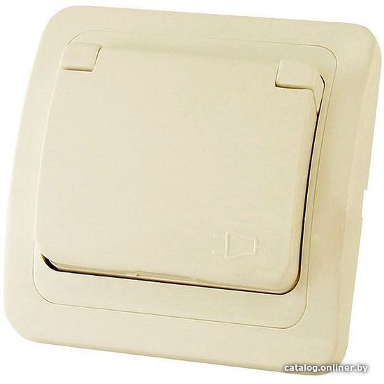 

Розетка TDM Electric Валдай SQ1804-0111
