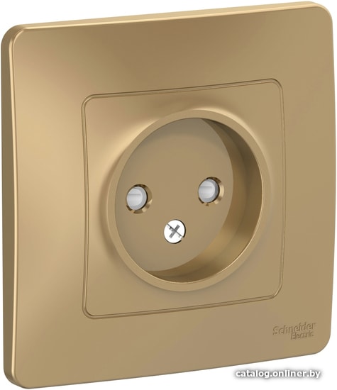 

Розетка Schneider Electric BLNRS000114