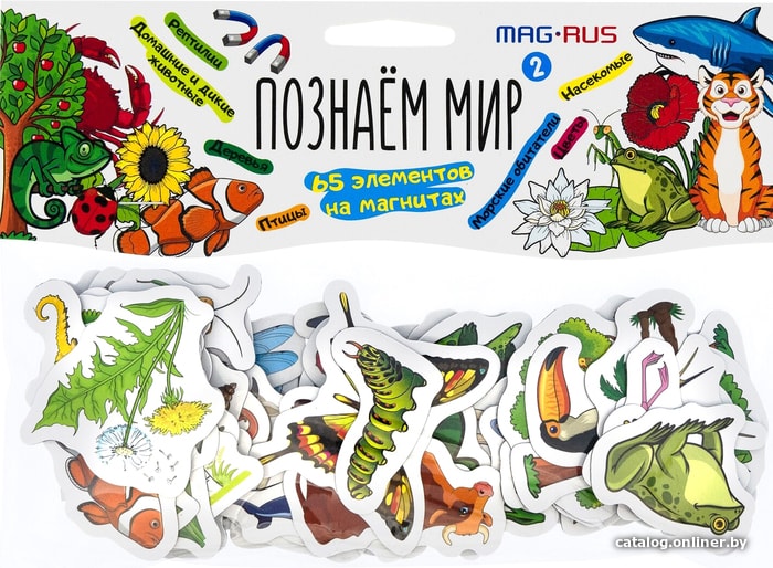 

Развивающая игра Анданте Mag-Rus Познаем мир 2 NF1058