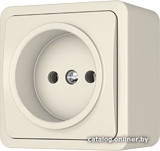 

Розетка Vilma Style plus SL+250 RP16-001 iv