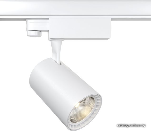 

Трековый светильник Maytoni Trinity Vuoro TR029-3-26W3K-W-W