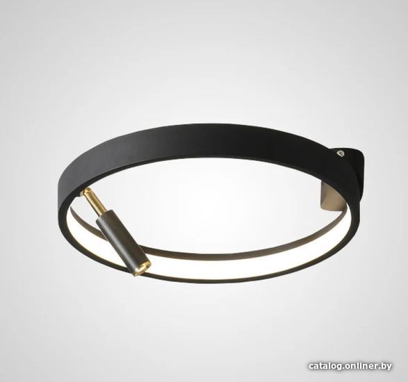 

Подвесная люстра ImperiumLoft rapid01 208380-26