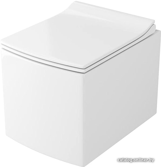 

Унитаз OWL 1975 Cube Cirkel-H с сиденьем DP микролифт OWLT190803