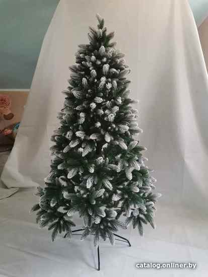 

Ель Christmas Tree Ванкувер 2.2 м