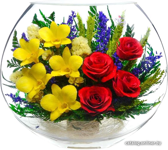 

Цветы, букеты Natural Flower Products Композиция из желтых орхидей и красных роз LTT-07
