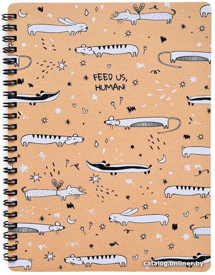 

Полуобщая тетрадь Be Smart Feed Us Мышки N2584 (80 л)