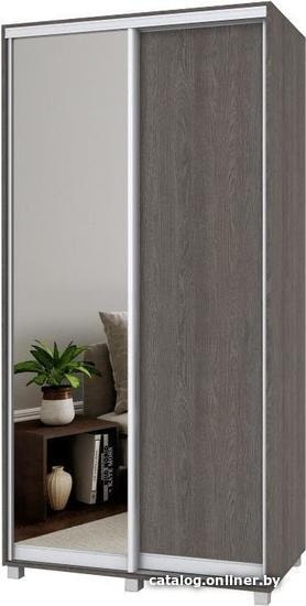 

Шкаф-купе Modern Роланд Р61 + Р21 (анкор темный)