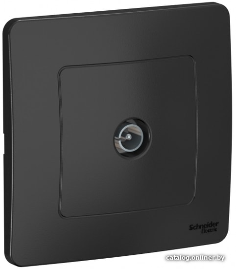 

Розетка телевизионная Schneider Electric BLNTS000016