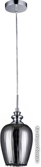 

Светильник Maytoni Modern Blues MOD033-PL-01-N