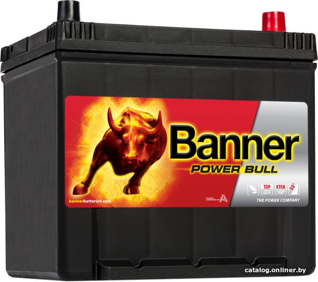 

Автомобильный аккумулятор Banner Power Bull P60 62 (60 А·ч)