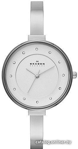 

Наручные часы Skagen SKW2228