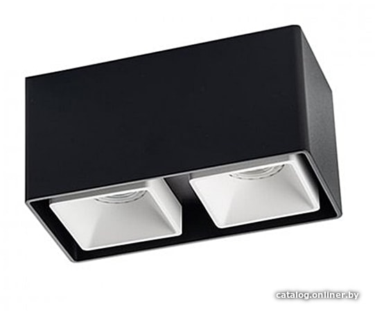 

Точечный светильник Italline Fashion FX2 (Black) + Fashion FXR (White)