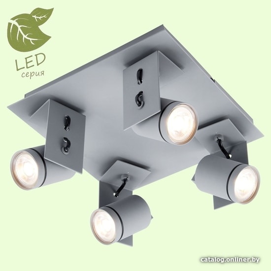 

Спот Lussole Loft GRLSP-8024