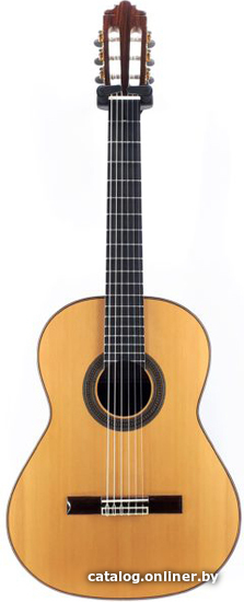 

Акустическая гитара Altamira N500