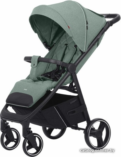 

Коляска прогулочная «книга» Carrello Bravo 2023 CRL-8512 (spring green)