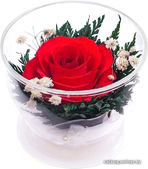 

Цветы, букеты Natural Flower Products Композиция из красных роз JbZy1