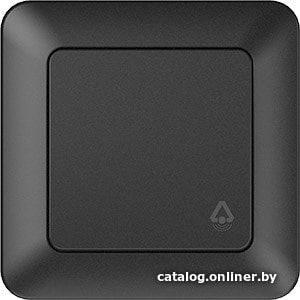 

Кнопка для звонка Vilma Style SL 250 P110-012 an