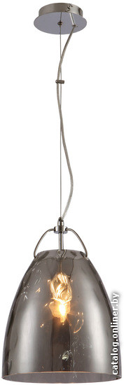 

Светильник Lussole LOFT-33 LSP-9633