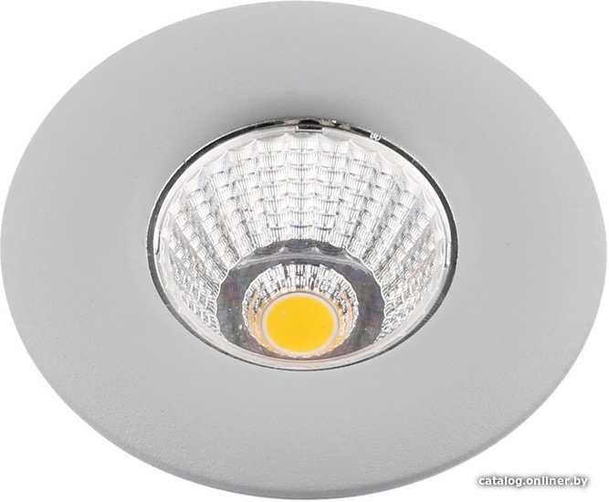 

Точечный светильник Arte Lamp Uovo A1425PL-1GY