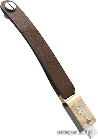 

USB Flash Adam Elements Roma 256GB (золотистый)