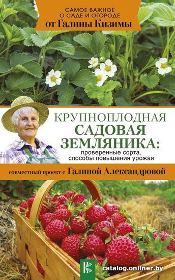 

АСТ. Крупноплодная садовая земляника: проверенные сорта, способы повышения урожая