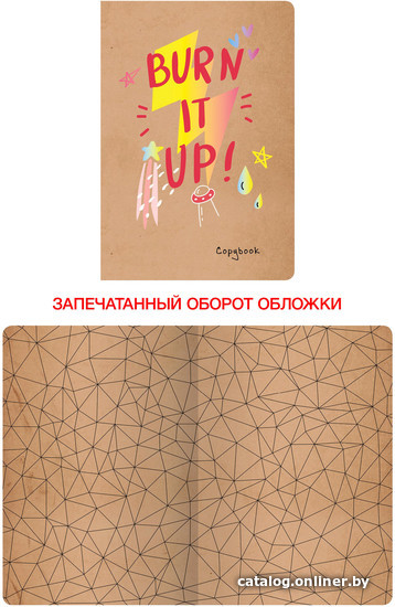 

Общая тетрадь Канц-Эксмо Молния ТКК486891 (48 л)