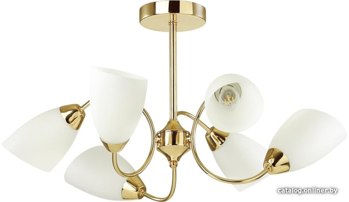 

Люстра средней высоты Lumion Darlene 4532/6C
