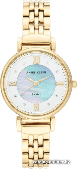 

Наручные часы Anne Klein 3630MPGB