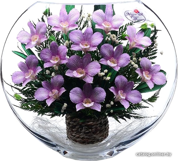 

Цветы, букеты Natural Flower Products Композиция из фиолетовых орхидей LSV-01