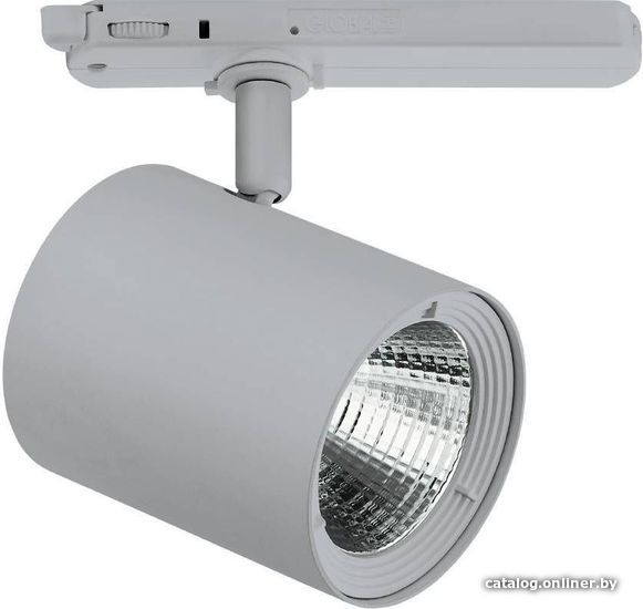 

Трековый светильник Eglo Egnatia 66323