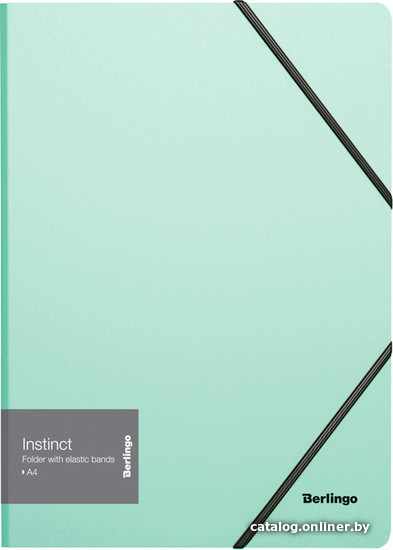 

Папка для бумаг Berlingo Instinct ANp_01520 (мятный)