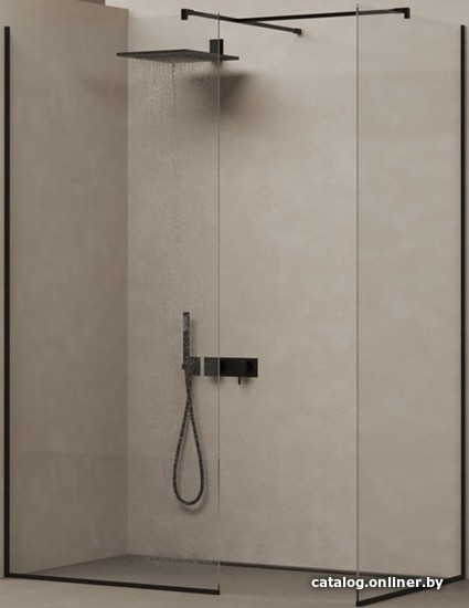 

Душевая стенка Salini Atrio 21101B 220x90