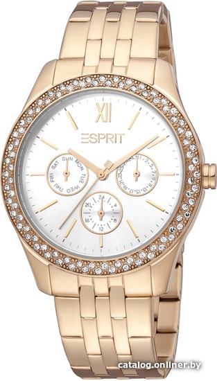 

Наручные часы Esprit ES1L201M1035