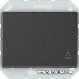 

Кнопка для звонка Vilma Express XP 500 P110-012-04 an