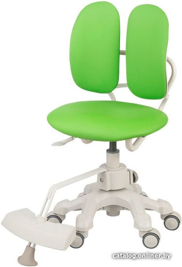 

Детское ортопедическое кресло Duorest Kids DR-289SG (зеленый)